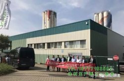 德國鯨魚畫|揭示“德國制造”的強大真理