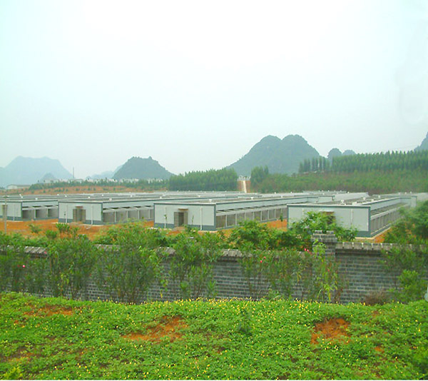 廣西瑋美公司動物中心采用外墻涂料裝飾系統